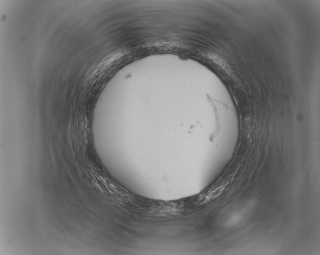 X0000060551111200512011609