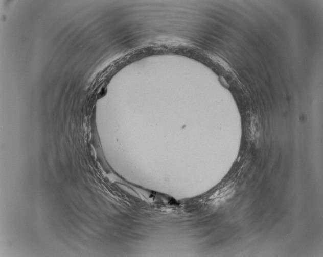 X0000060551112200512011609