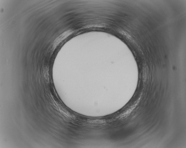 X0000060551113200512011609