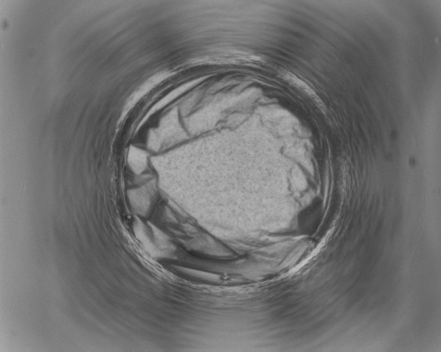 X0000060551114200512011609