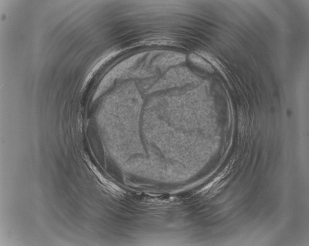 X0000060551115200512011609