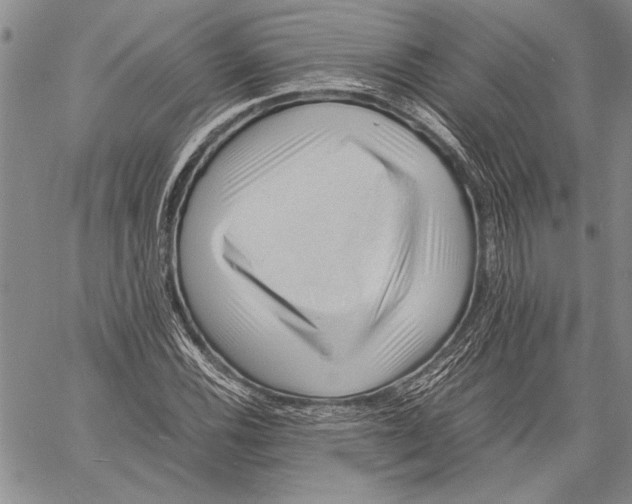 X0000060551116200512011609