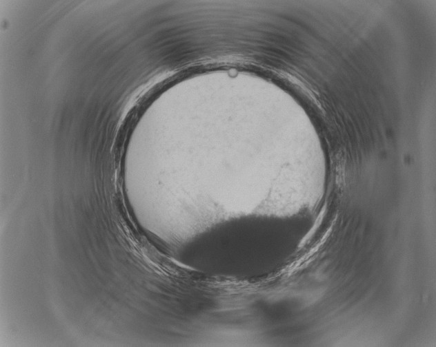 X0000060551117200512011609