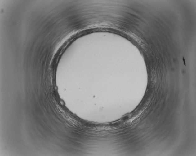 X0000060551118200512011609