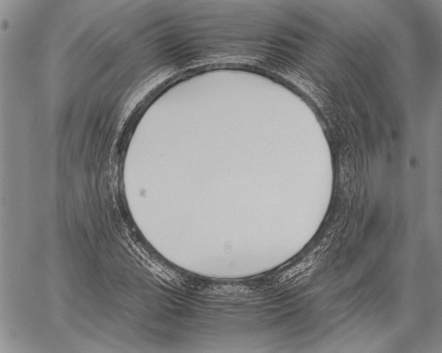 X0000060551119200512011609