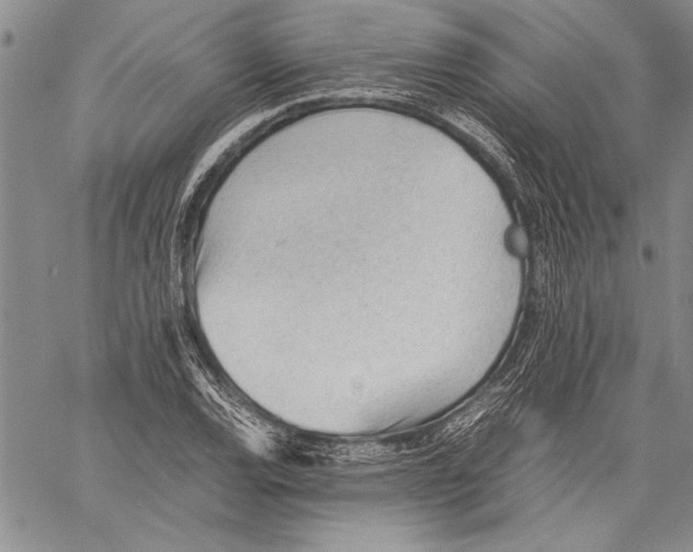 X0000060551120200512011609