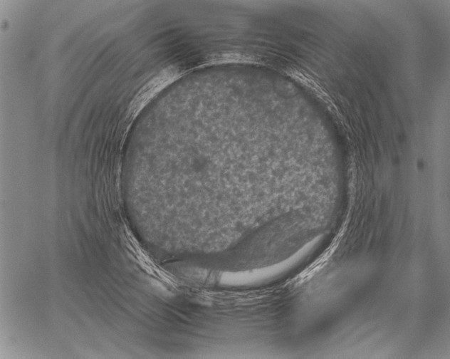 X0000060551121200512011609