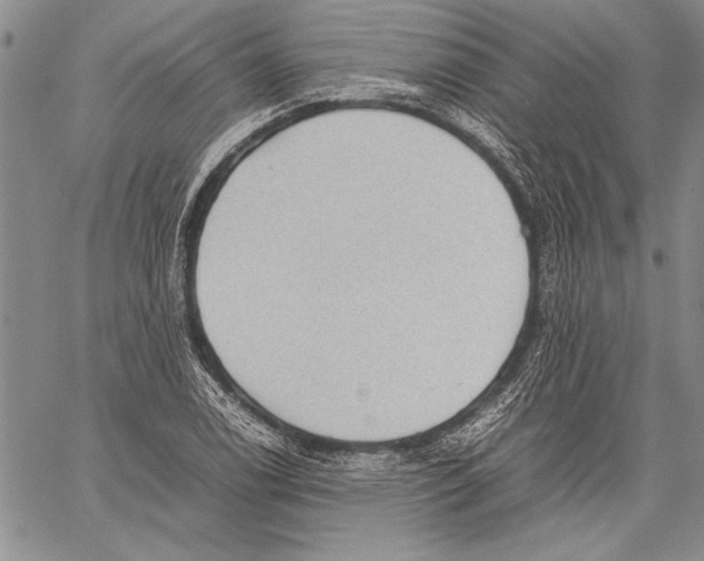 X0000060551122200512011609