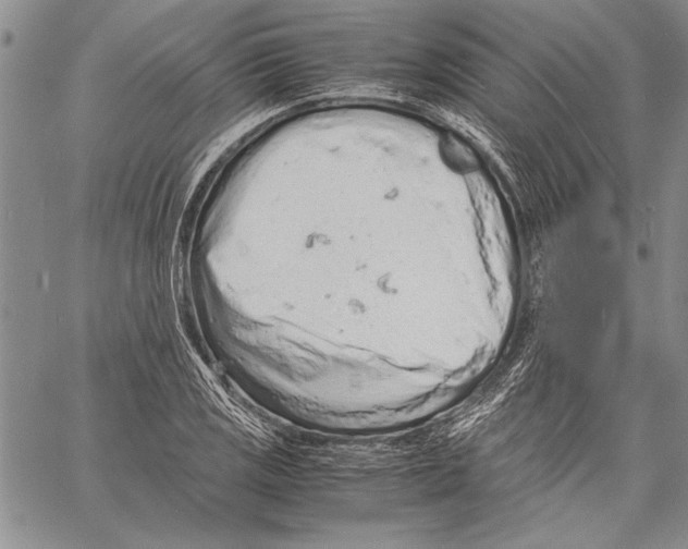 X0000060551125200512011609