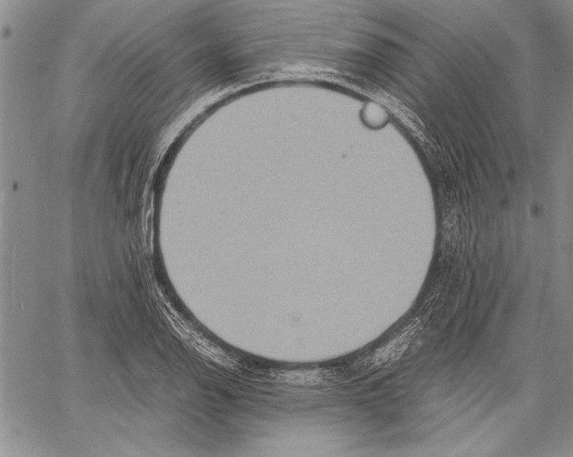 X0000060551126200512011609