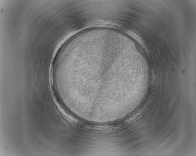 X0000060551128200512011609