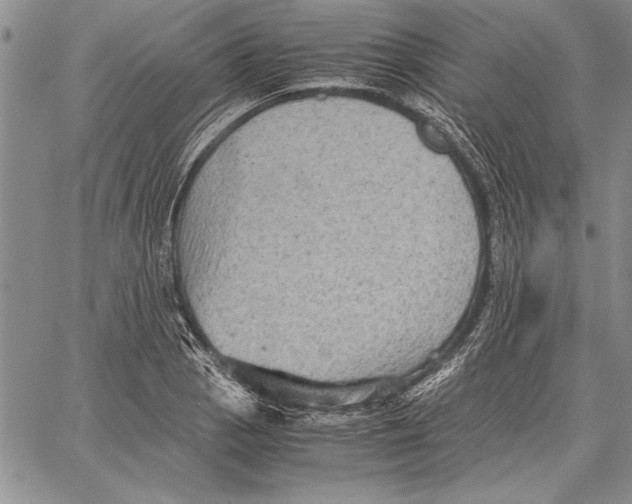 X0000060551129200512011609