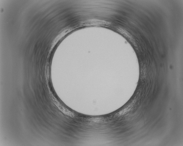 X0000060551130200512011609