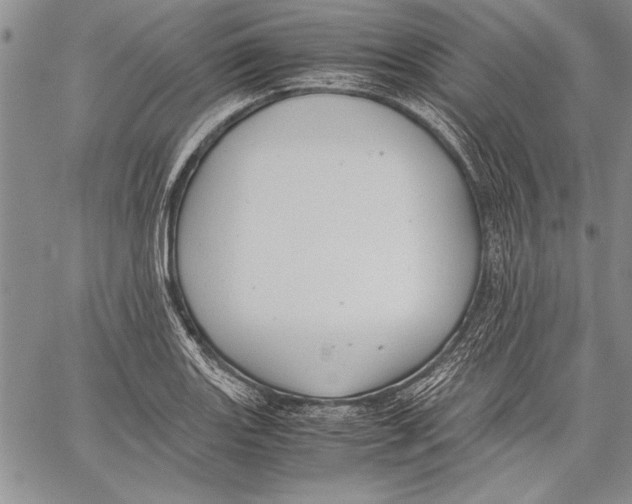 X0000060551131200512011609