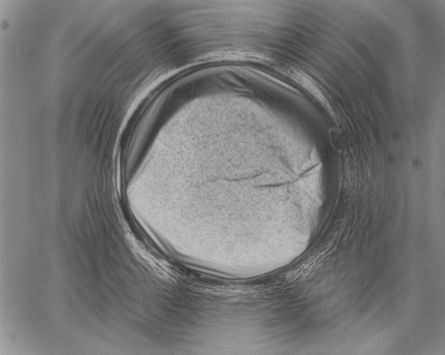 X0000060551132200512011609