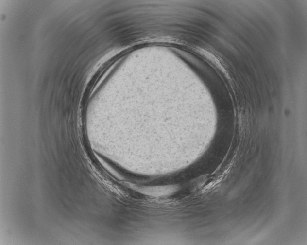 X0000060551133200512011609