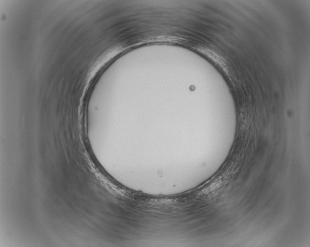 X0000060551135200512011609