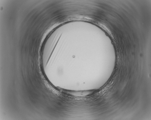 X0000060551136200512011609