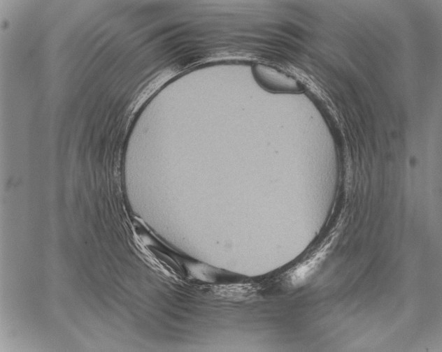 X0000060551137200512011609