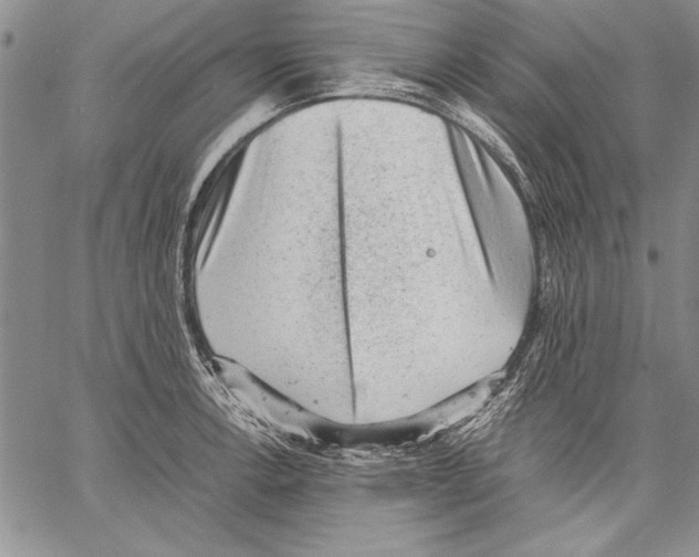 X0000060551138200512011609