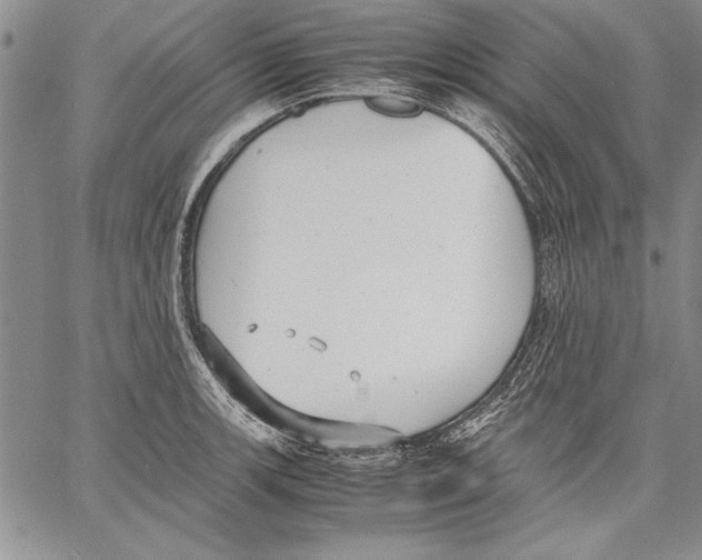 X0000060551139200512011609