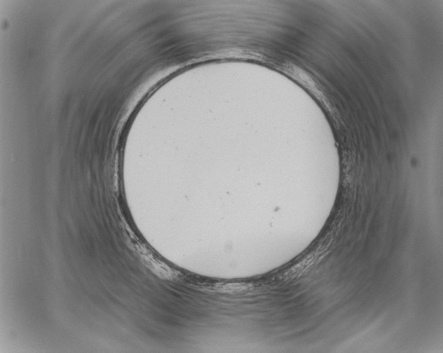 X0000060551140200512011609