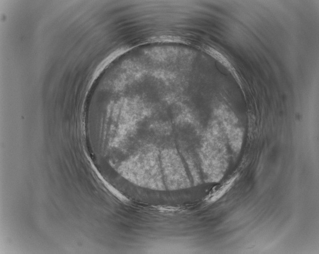 X0000060551141200512011609