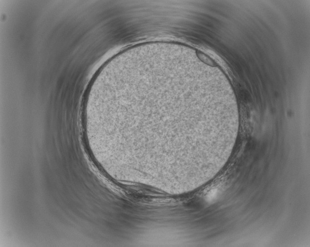 X0000060551142200512011609