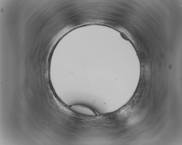 X0000060551143200512011609