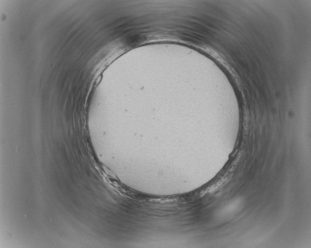 X0000060551145200512011610