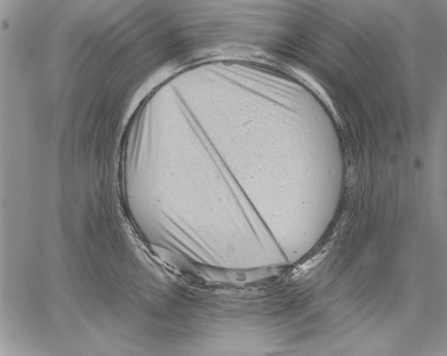 X0000060551146200512011610