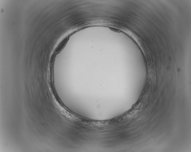 X0000060551147200512011610