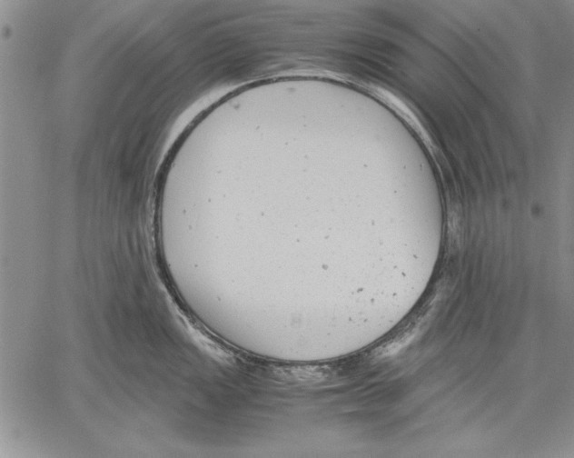 X0000060551149200512011610