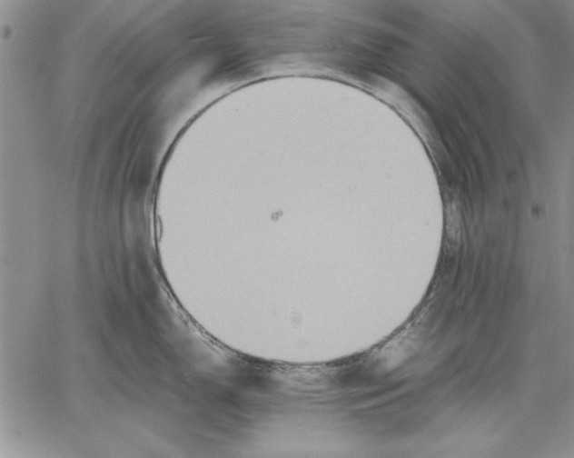 X0000060551150200512011610