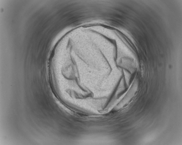 X0000060551151200512011610