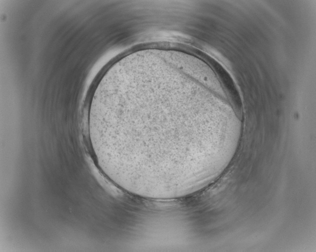 X0000060551152200512011610