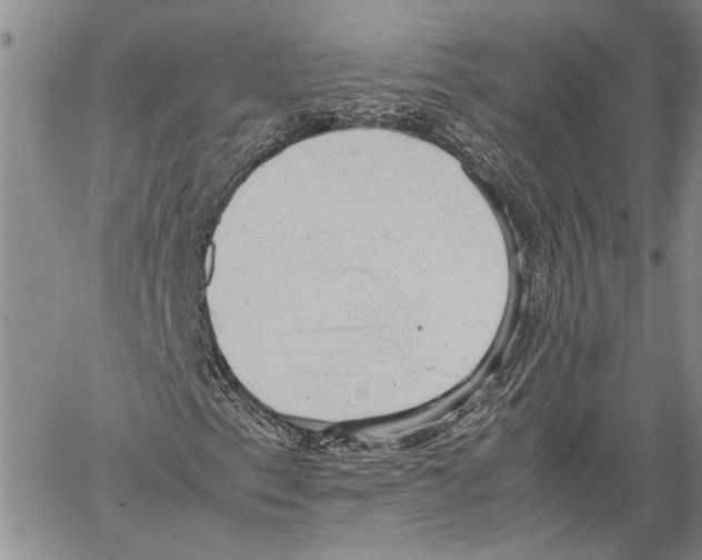 X0000060551153200512011609