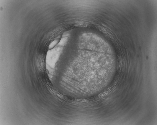 X0000060551154200512011609