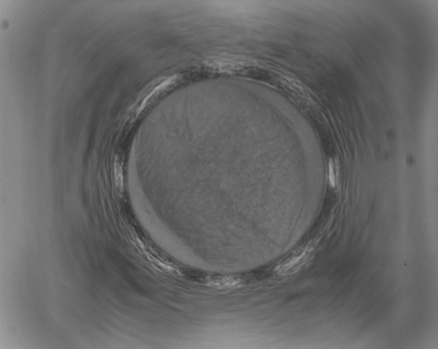 X0000060551155200512011609