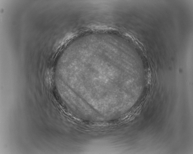 X0000060551157200512011609