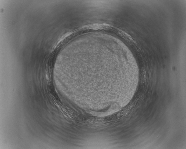 X0000060551158200512011609