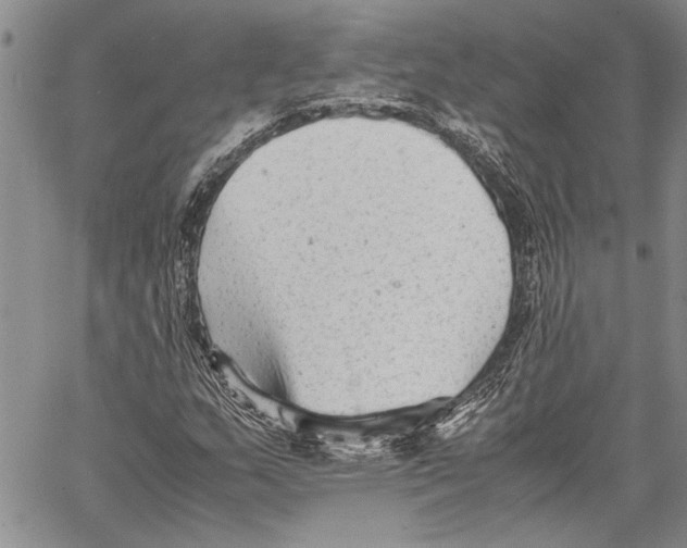 X0000060551159200512011609