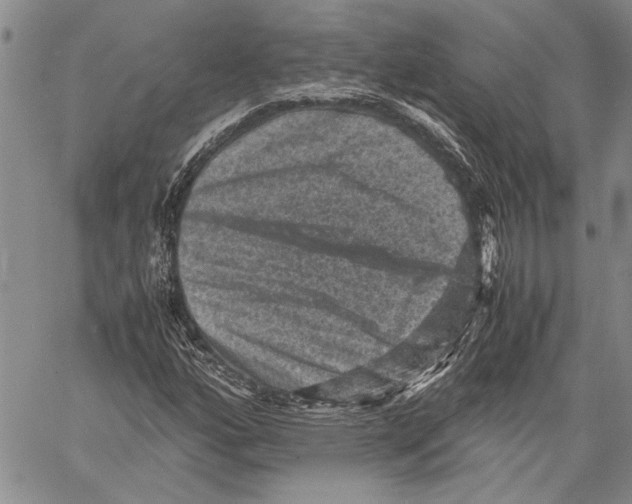 X0000060551160200512011609