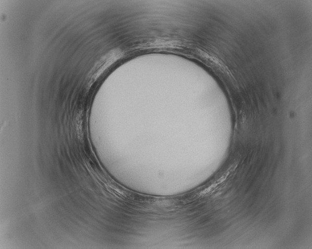 X0000060551162200512011609