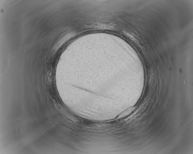 X0000060551163200512011609