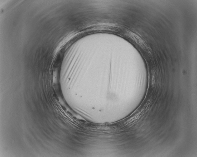 X0000060551164200512011609