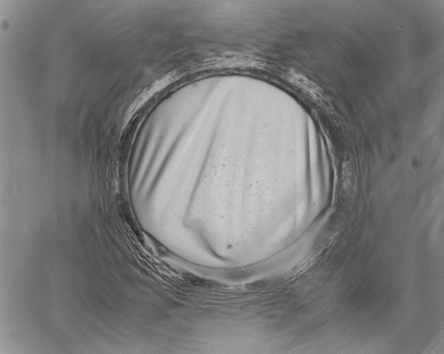 X0000060551165200512011609