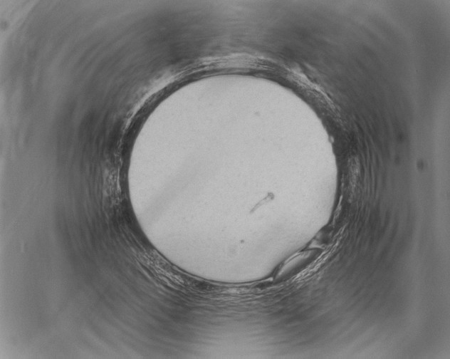 X0000060551166200512011609