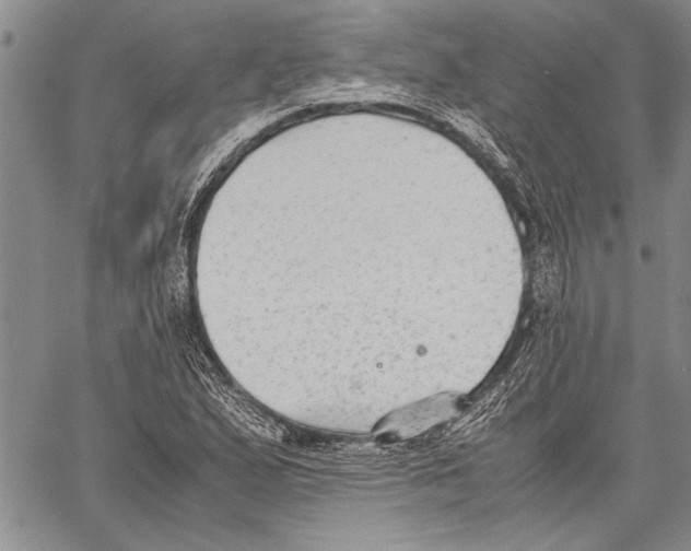 X0000060551167200512011609