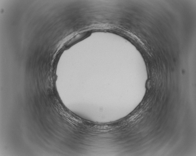 X0000060551168200512011609